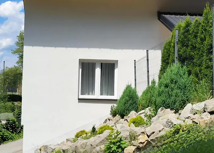 Na Jonidle 비스와